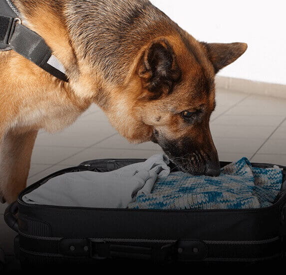 Found Something suspicious